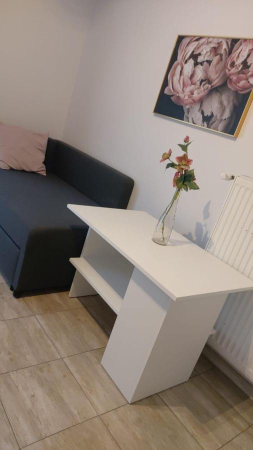 Apartamenty Grapa Szum Rzeki Parking Free فيسلا المظهر الخارجي الصورة